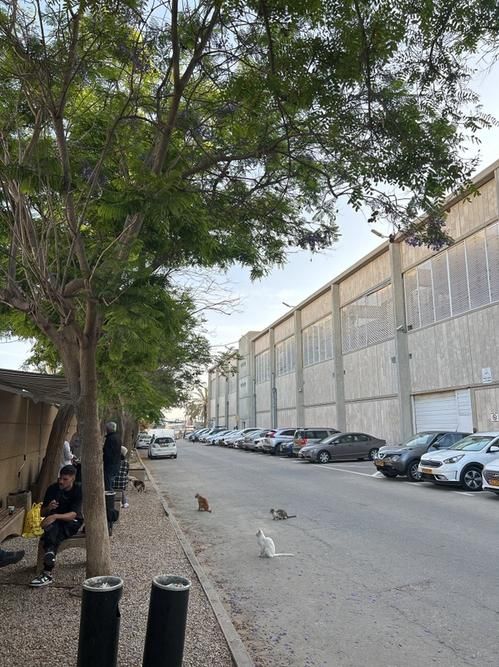 Изображение-image-b59dce63ab9c42b7ff1c6dbfaa85df3726865274-3024x4032-jpg