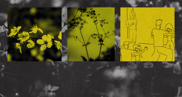 Изображение-У людей по всему миру становится меньше друзей